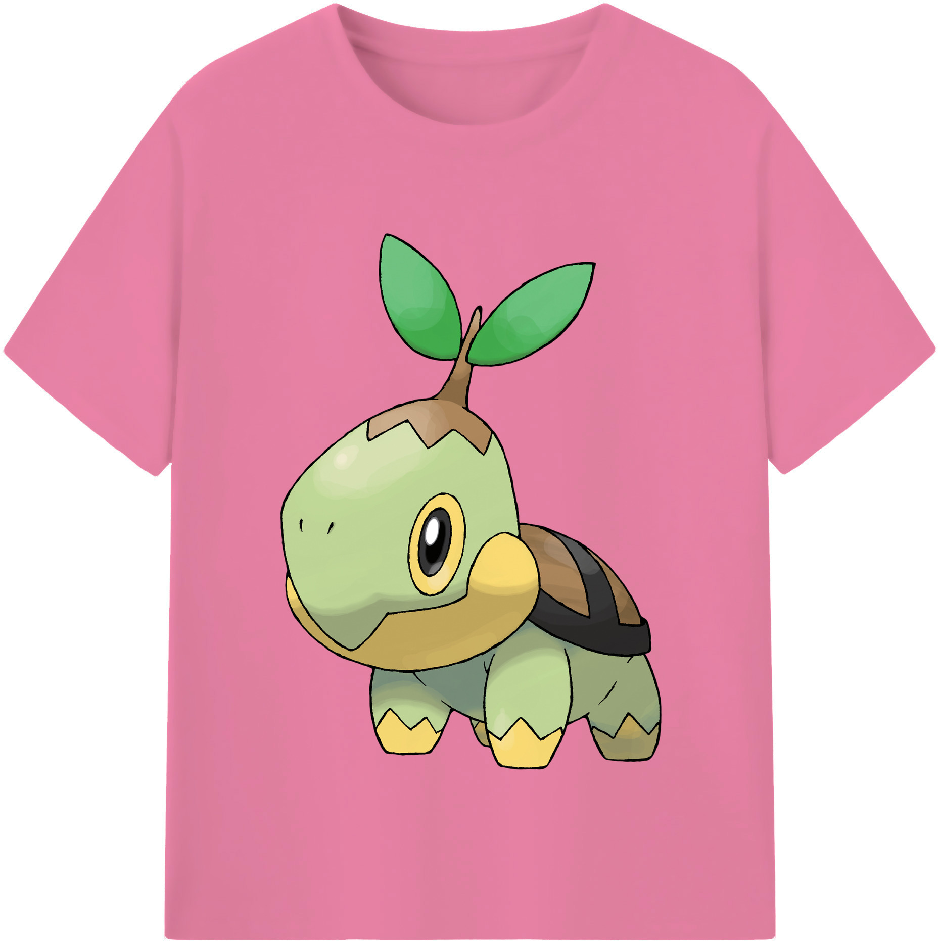 （画像用） ポケットモンスター Pokémon 綿100％半袖Tシャツ（フロントプリント）